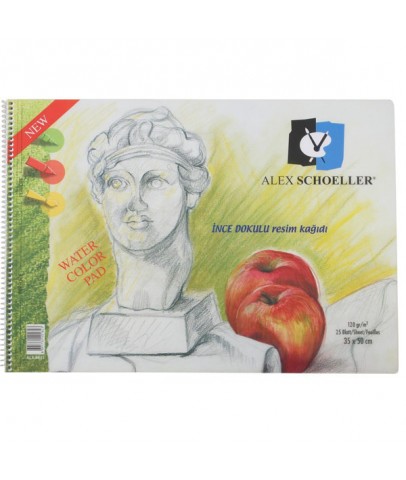 Alex Schoeller Resim Defteri Spiralli Şeffaf Kapak 120 Gr 35X50 25 Syf.Alx-0823