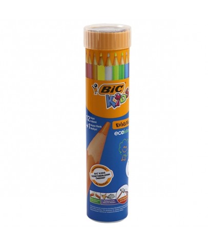 Bic Kuru Boya Evolution Metal Tüp 12+1 958191