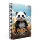 Gıpta Spiralli Karton Kapak Defter Panda A4 80 Çizgili