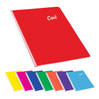 Keskin Color Defter A4 120 Yp Çizgili Plastik Kapak Spr Cool