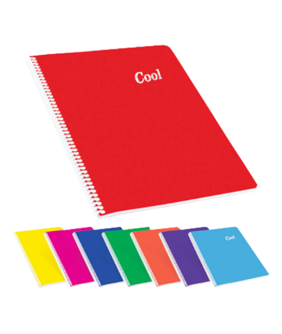 Keskin Color Defter A4 120 Yp Çizgili Plastik Kapak Spr Cool