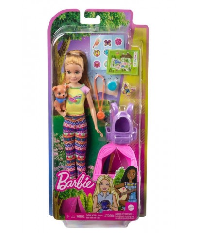 Mattel Barbie Kız Kardeşleri Kampa Gidiyor HDF69