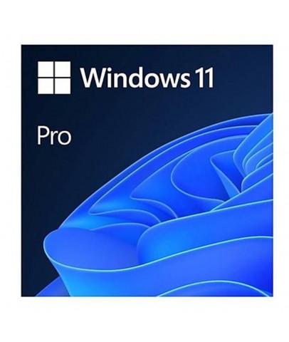 Microsoft Windows 11 Pro 64Bit Türkçe Kutu HAV-00159 Kutulu İşletim Sistemi