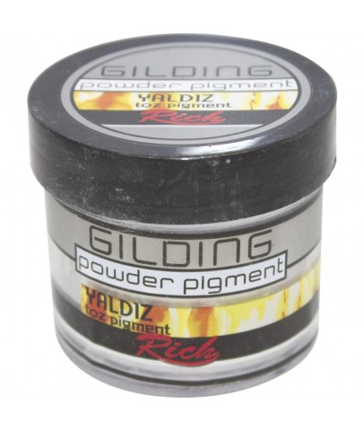 Rich Gıldıng Powder Pıgment 60 CC Gümüş 11009