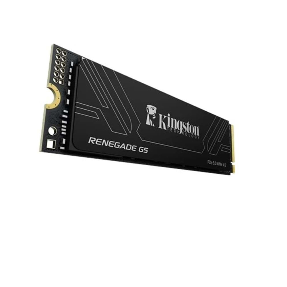 Kingston 1TB Renegade SRNG2S-1T0 G5 14200-11000MB-s PCIe 5.0 NVMe SSD Disk