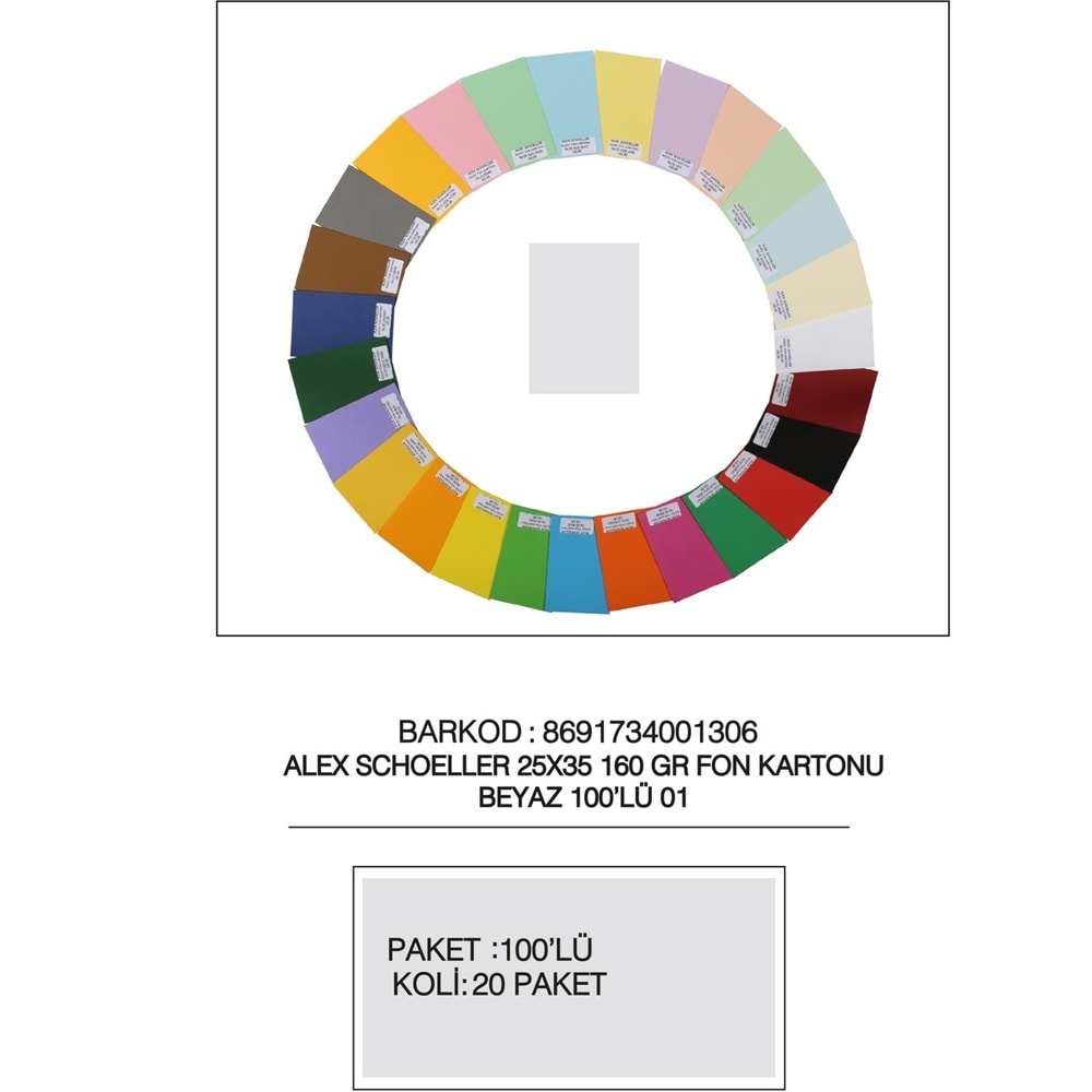 Alex Schoeller Fon Kartonu 25x35 No:01 Beyaz 100 Lü