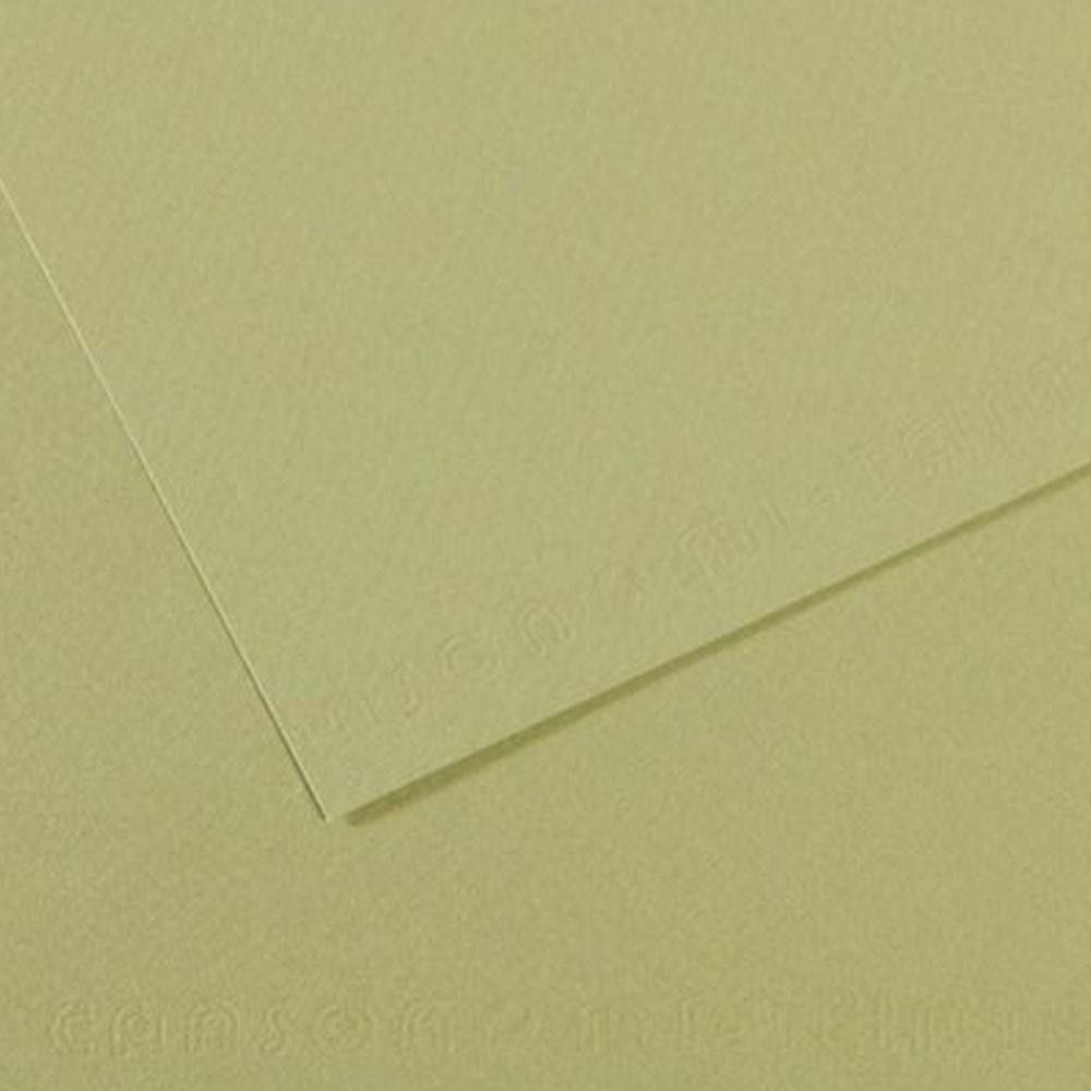 Canson Fon Kartonu (Dokulu) Mı-Teıntes 25 Lİ 50x65 160 GR 480 Almond Green 200321164 (1 Adet)
