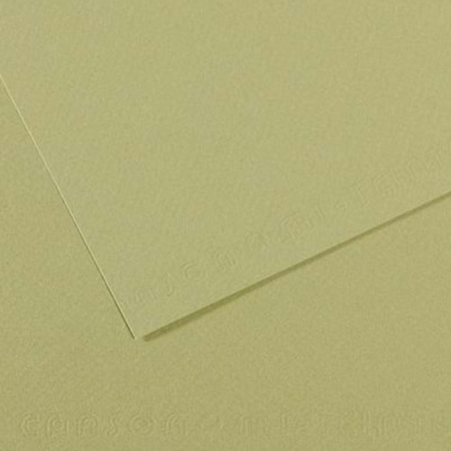 Canson Fon Kartonu (Dokulu) Mı-Teıntes 25 Lİ 50x65 160 GR 480 Almond Green 200321164 (1 Adet)