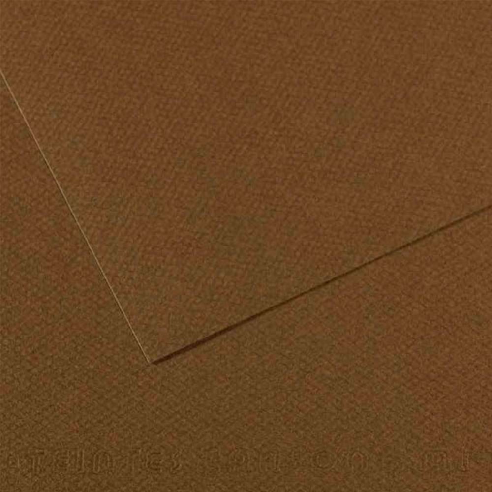 Canson Fon Kartonu (Dokulu) Mı-Teıntes 50x65 160 gr 501 Dark Brown 200331484 (1 Adet)