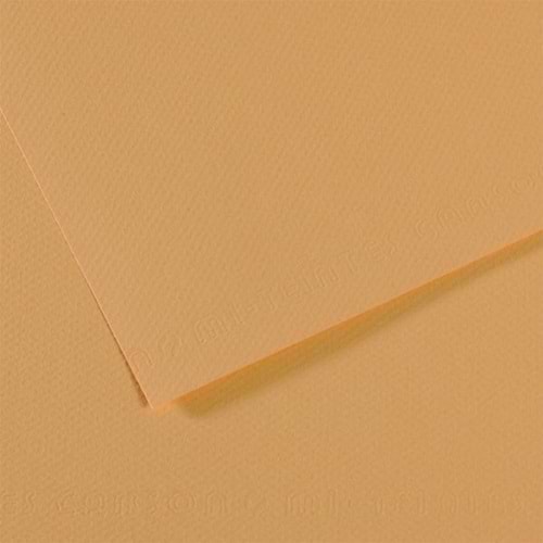 Canson Fon Kartonu (Dokulu) Mı-Teıntes 50x65 160 gr 340 Lıght Hemp 200321044 (1 Adet)