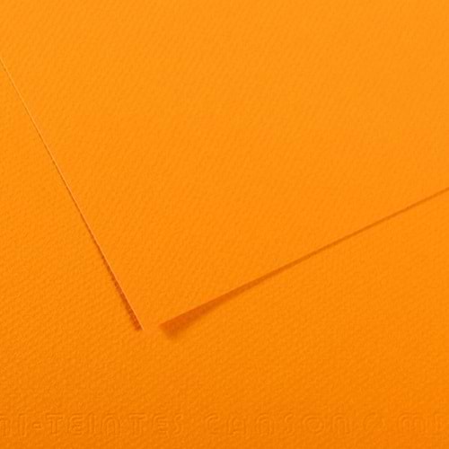 Canson Fon Kartonu (Dokulu) Mı-Teıntes Sh Canmt 50x65 160 GR Ylw 553 31032S113 (1 Adet)