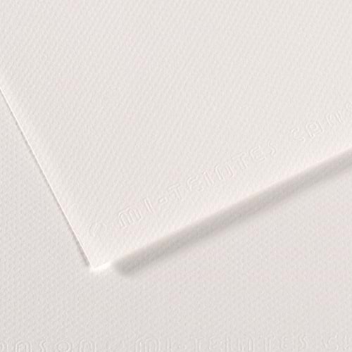 Canson Fon Kartonu (Dokulu) Mı-Teıntes 50x65 160 gr Whıt 335 (1 Adet)
