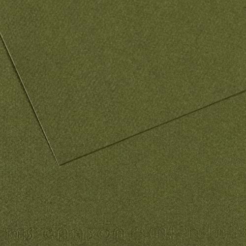 Canson Fon Kartonu (Dokulu) Mı-Teıntes Sh Canmt 50x65 160 GR Grn 448 (1 Adet)