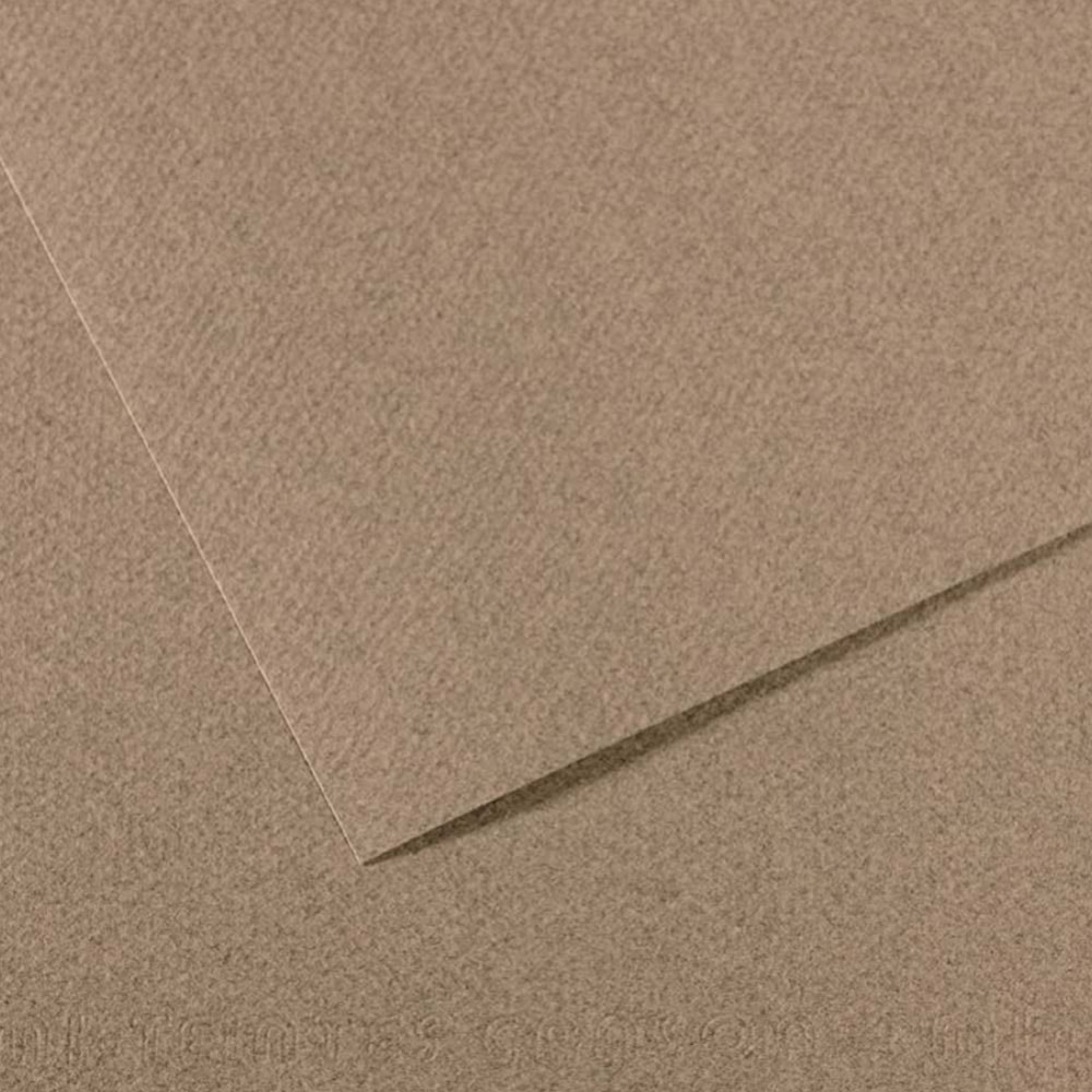 Canson Fon Kartonu (Dokulu) Mı-Teıntes 50x65 160 gr Grey 431 (1 Adet)