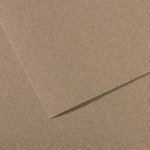 Canson Fon Kartonu (Dokulu) Mı-Teıntes 50x65 160 gr Grey 431 (1 Adet)