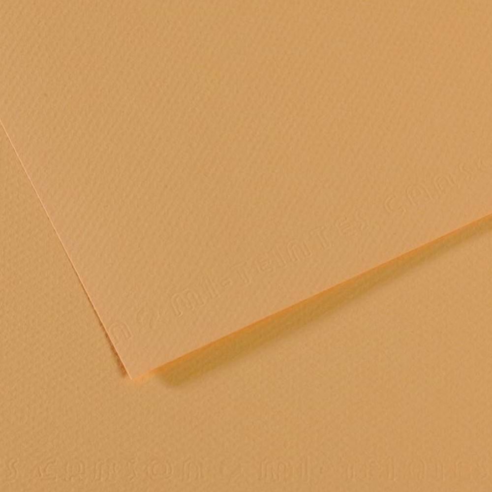 Canson Fon Kartonu (Dokulu) Mı-Teıntes 50x65 160 gr Kahverenk 340 (1 Adet)