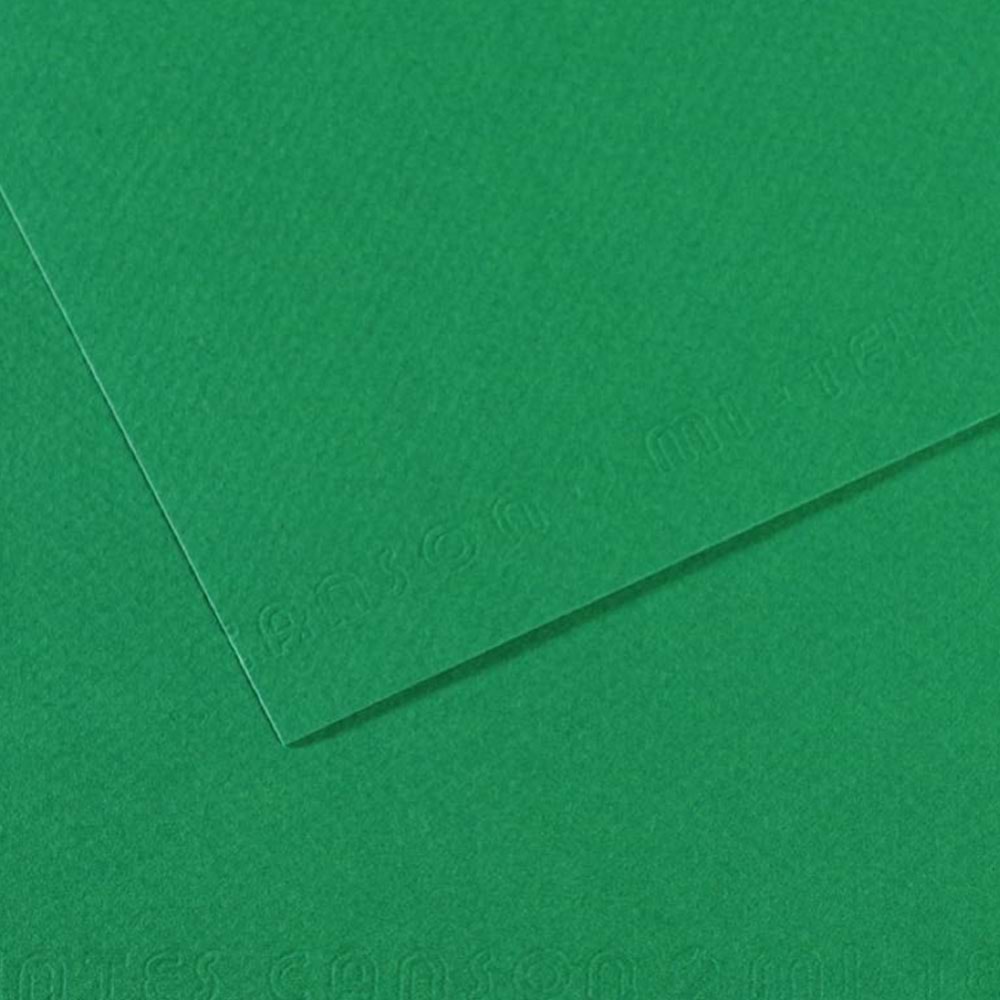 Canson Fon Kartonu (Dokulu) Mı-Teıntes Sh Canmt 50x65 160 gr Grn 575 31032S114 (1 Adet)