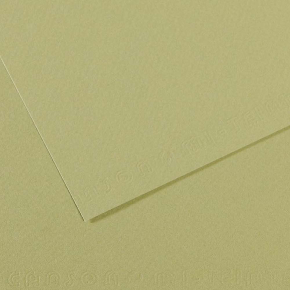 Canson Fon Kartonu (Dokulu) Mı-Teıntes Sh Canmt 50x65 160 GR Grn 480 (1 Adet)