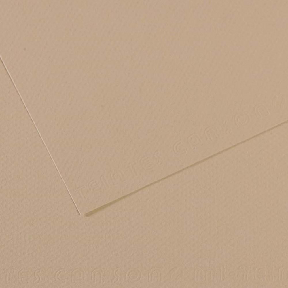 Canson Fon Kartonu (Dokulu) Mı-Teıntes 50x65 160 gr GREY 343 (1 Adet)