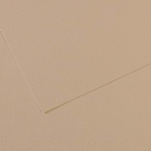 Canson Fon Kartonu (Dokulu) Mı-Teıntes 50x65 160 gr GREY 343 (1 Adet)