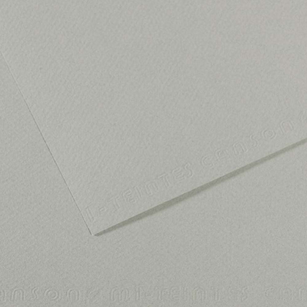 Canson Fon Kartonu (Dokulu) Mı-Teıntes Sh Canmt 50x65 160 gr Grey 354 (1 Adet)