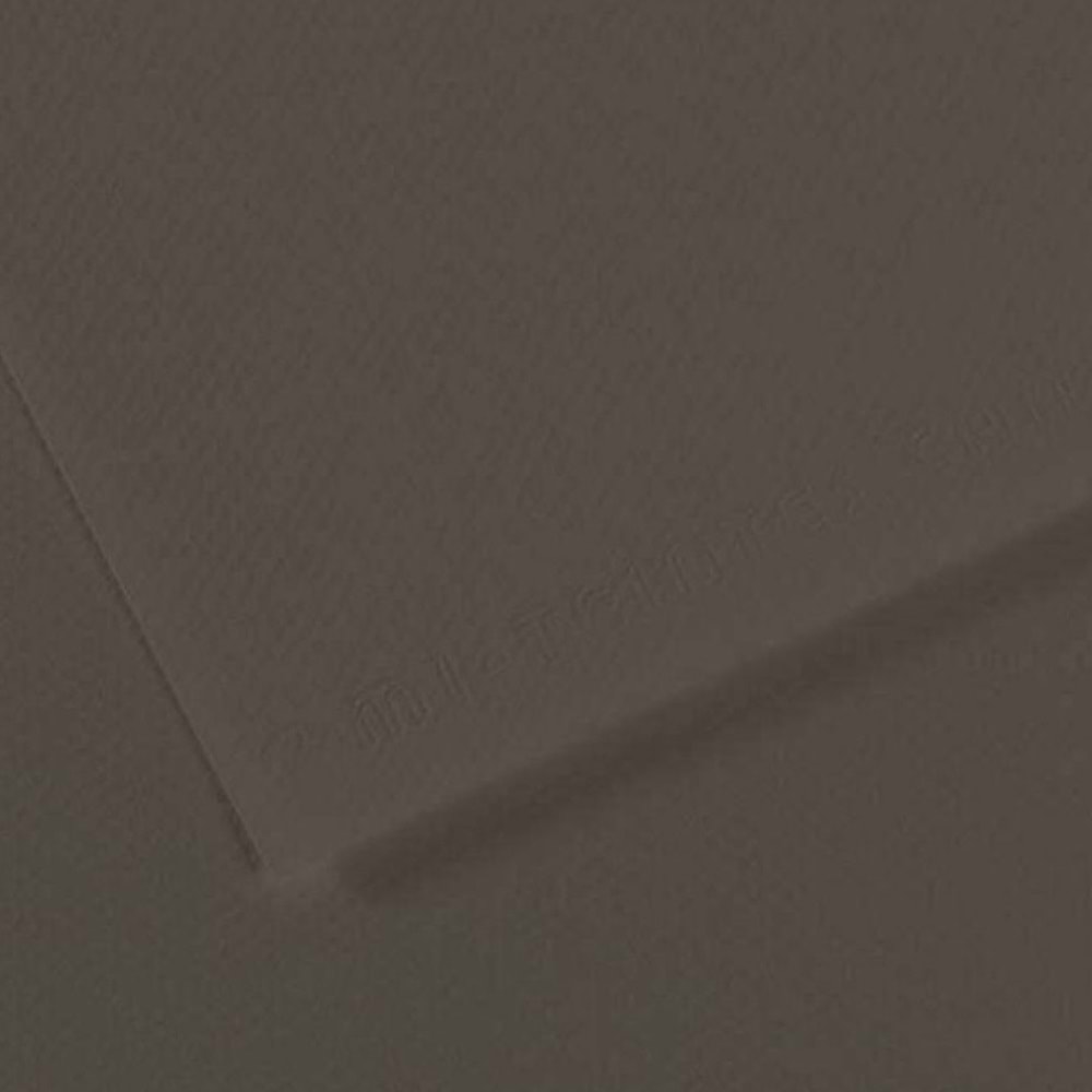 Canson Fon Kartonu (Dokulu) Mı-Teıntes Sh Canmt 50x65 160 gr Grey 184 (1 Adet)