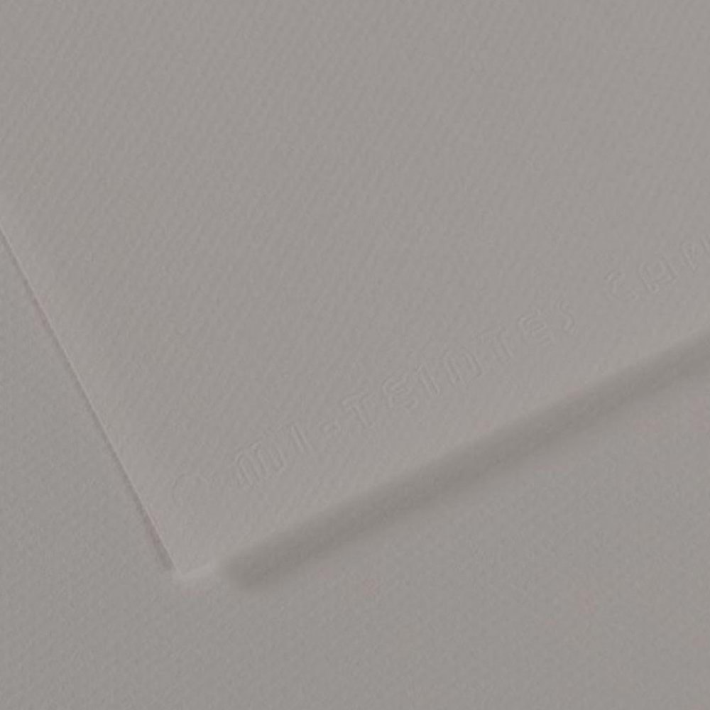 Canson Fon Kartonu (Dokulu) Mı-Teıntes Sh Canmt 50x65 160 gr Grey 186 (1 Adet)