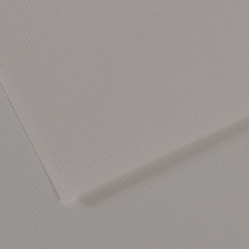 Canson Fon Kartonu (Dokulu) Mı-Teıntes Sh Canmt 50x65 160 gr Grey 186 (1 Adet)