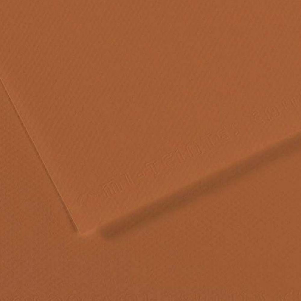Canson Fon Kartonu (Dokulu) Mı-Teıntes Sh Canmt 50x65 160 gr Brown 187 (1 Adet)