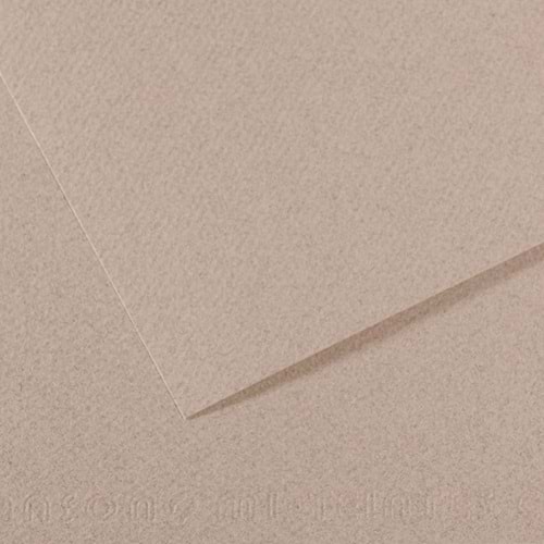 Canson Fon Kartonu (Dokulu) Mı-Teıntes Sh Canmt 50x65 160 gr Grey 426 (1 Adet)