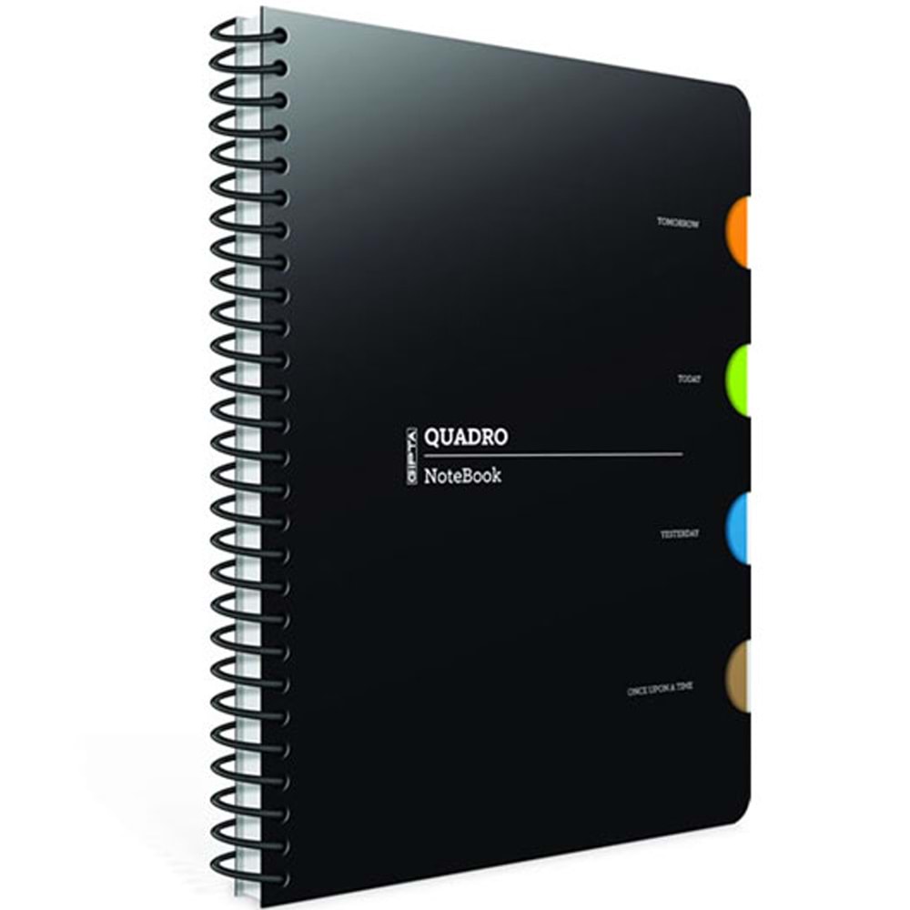 Gıpta Not Defteri Quadro Spr Plastik Kapak 17x24 150-1