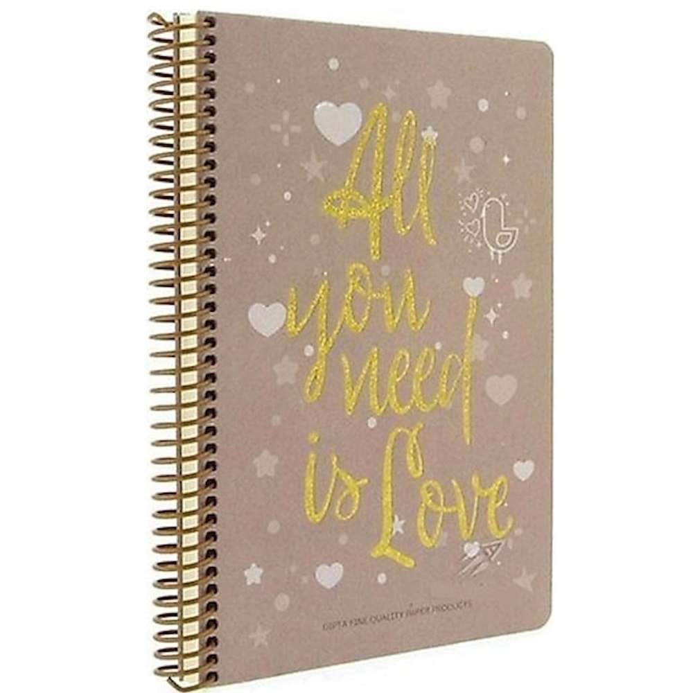 Gıpta Love Book İp.Dk.Sert Kapak Defter 19x26 120 YP Kareli 5377