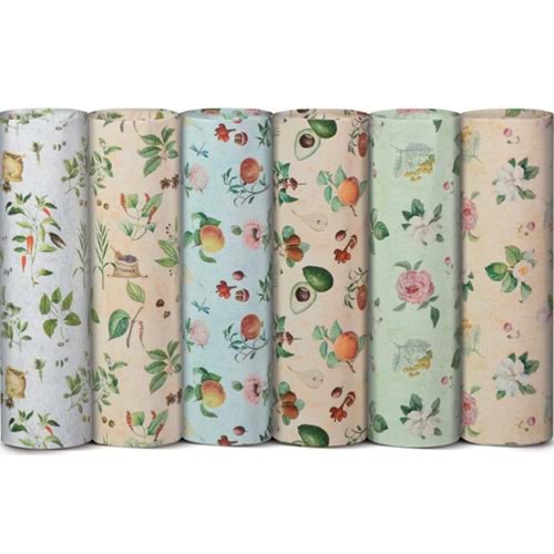 Rex Ambalaj Kağıdı Tekli Rulo Ecocarta Botanica 70x200 (1 Adet)