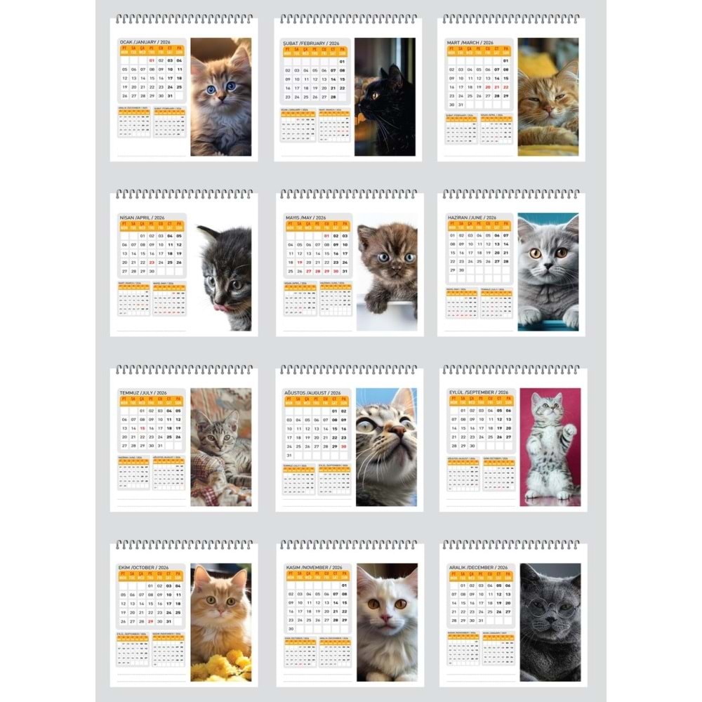 Keskin Color Masa Takvimi Kare Kediler 2026