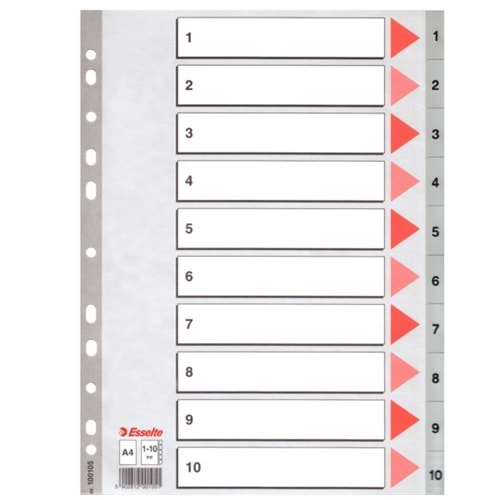 Esselte Seperatör 1-10 Rakamlı Plastik A4 100105