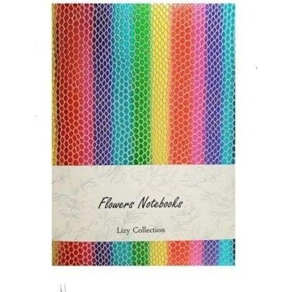 Liz Defter Rainbow Suni Deri 14x20 168 YP Çizgili