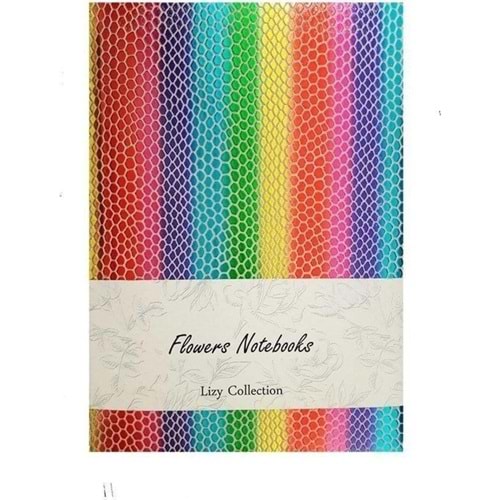 Liz Defter Rainbow Suni Deri 9x13 96 YP Çizgili