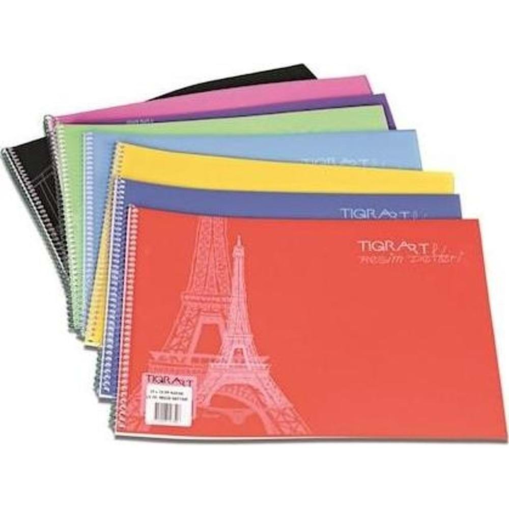 Tigra Resim Defteri Spiralli Plastik Kapak 25 Yaprak 35x50 TR-002 (1 Adet)