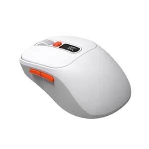 Frisby FM-294WM Kablosuz Mouse