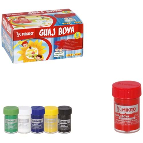 Mikro Guaj Boya Şişe 6 Renk 15 ML GJ-6