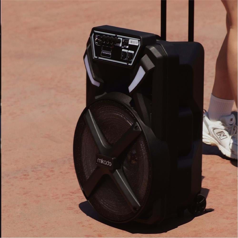 Mikado MD-BT123 30W USB-BT-TF-TWS Kablosuz ve Kafa Mikrofonlu Öğretmen-Toplantı Anfisi