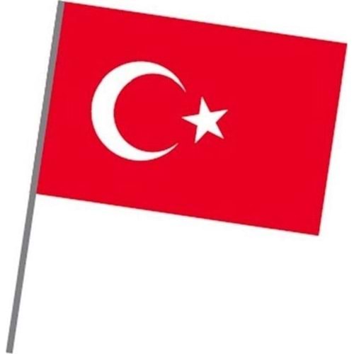 Vatan Bez Bayrak Sopalı 20x30 VT225