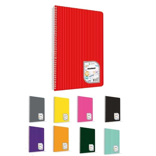 Çınar Colormaxi Spiralli Defter Plastik Kapak Çizgili 60 YP A4 60/1 73013