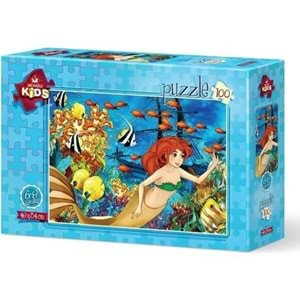 Art Puzzle 100 Parça Batık Gemi 5624