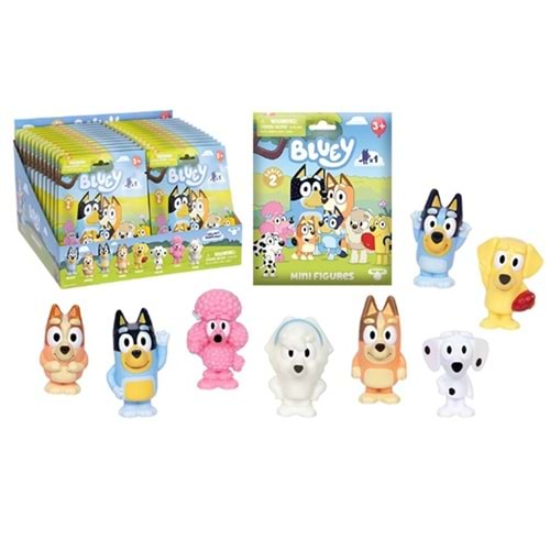 Bluey Surprız Paket
