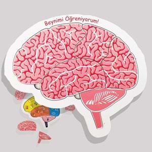 Moon Beavers Beynimi Öğreniyorum Ahşap Eğitici Oyun