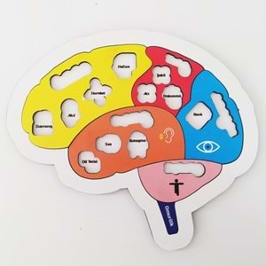 Moon Beavers Beynimi Öğreniyorum Ahşap Eğitici Oyun