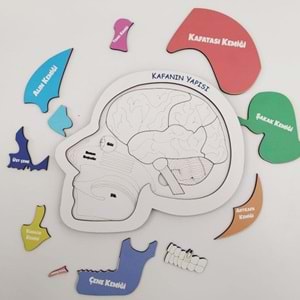 Moon Beavers Kafanın Yapısı Ahşap Eğitici Oyun