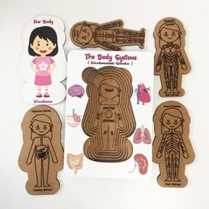 Moon Beavers Vücudumuz Sistemleri Kız Ahşap Eğitici Oyun