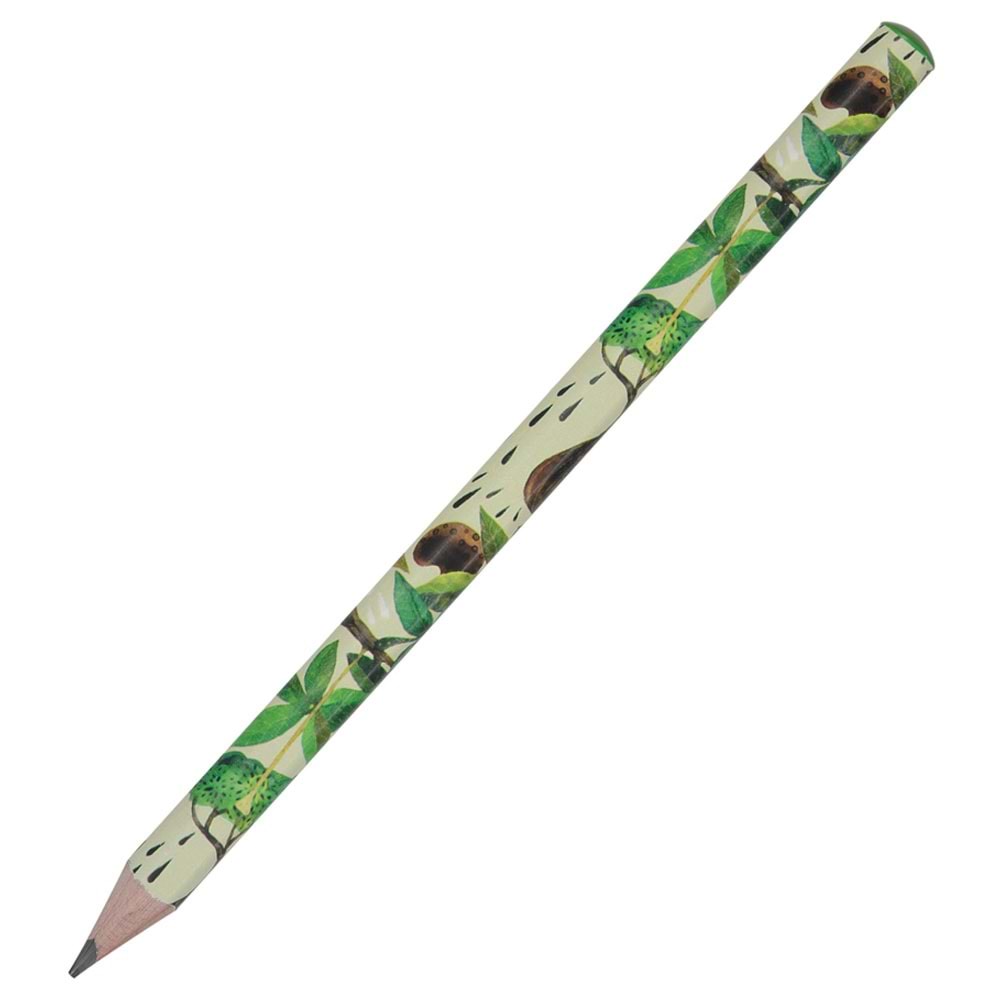 Bruno Visconti Kurşun Kalem Graphix 3,5 MM 4B Baobab (1 Adet)